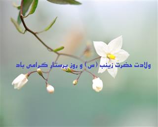 تغذیه در کرونا و عوارض پیش آمده